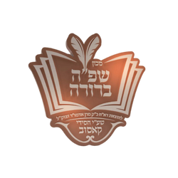 שפה ברורה